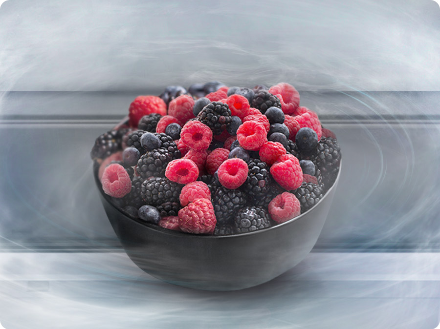 No Frost Technology